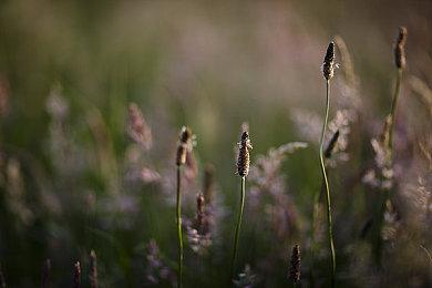 30周年限定版PS5国行10月17日开启预购 购买资格需抽签